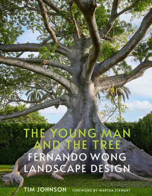 Young Man and the Tree: Fernando Wong Landscape Design, The Cheap